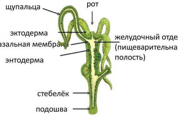 Кракен актуальные