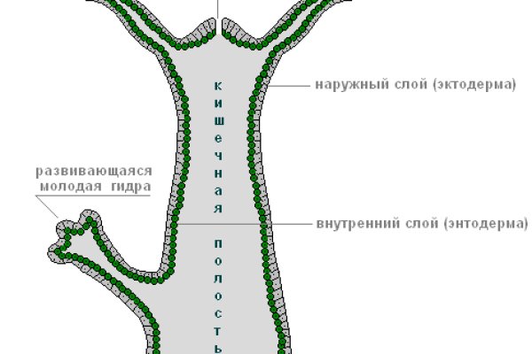 Кракен сайт 1kraken me