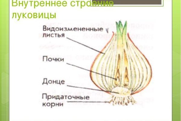 Кракен онион рабочая ссылка